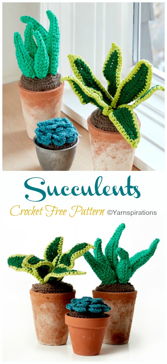 Succulents Free Crochet Patterns- #Succulent; Plant Crochet Free Patterns