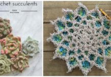 #Succulent; Plant Crochet Free Patterns