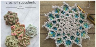 #Succulent; Plant Crochet Free Patterns