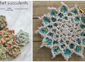 #Succulent; Plant Crochet Free Patterns