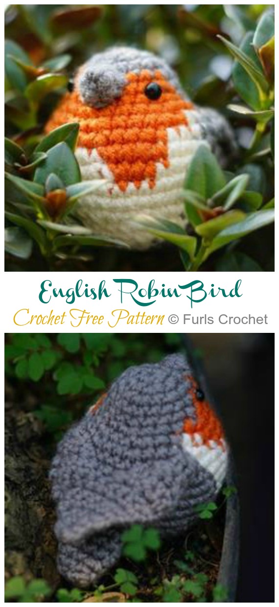 Amigurumi Robin Bird Crochet Free Patterns Crochet