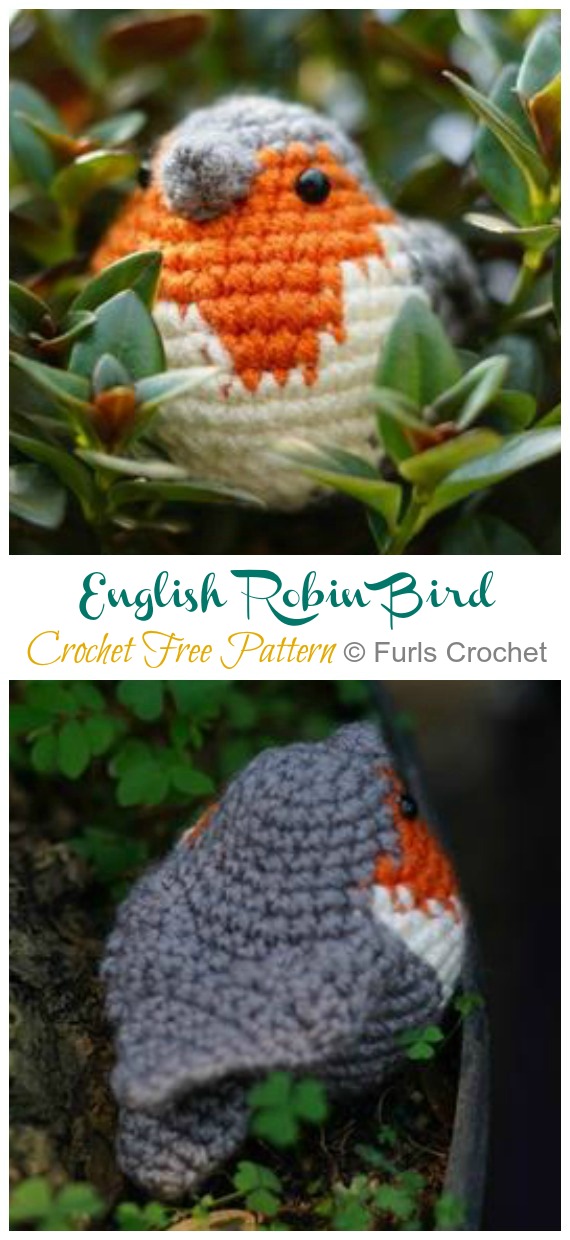 Amigurumi English Robin Bird Crochet Free Pattern - Crochet #Bird; #Amigurumi; Free Patterns 