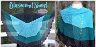 Bluebonnet Shawl Crochet Free Pattern - Women Lace #Shawl; Free #Crochet; Patterns