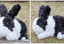 Amigurumi Bunny Crochet Free Pattern - #Amigurumi; Bunny Free Crochet Patterns