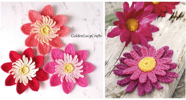 Dahlia Flower Applique Crochet Free Patterns Dahlia Flower Applique Crochet Free Pattern - 3D Flower Free #Crochet; Patterns