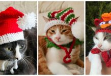 Christmas Cat Hat Crochet Patterns