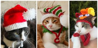 Christmas Cat Hat Crochet Patterns