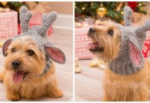 Doggie Deer Snood Crochet Free Pattern- Christmas Pet Hat #Crochet Patterns