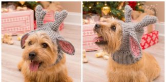 Doggie Deer Snood Crochet Free Pattern- Christmas Pet Hat #Crochet Patterns