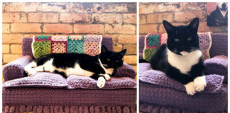 Kitty Couch Crochet Free Pattern [Video] - #Pet; Bed Free #Crochet; Patterns