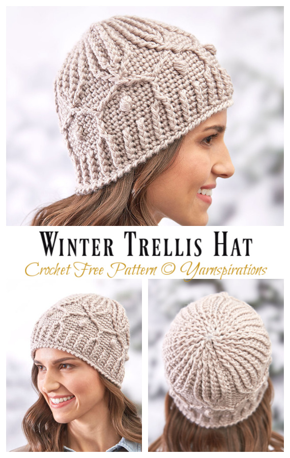 Winter Trellis Hat Crochet Free Pattern