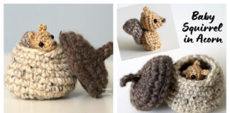 Amigurumi Baby Squirrel in Acorn Crochet Free Pattern