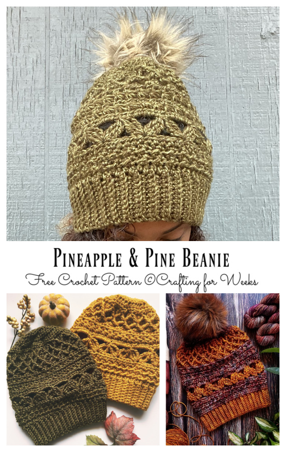 Pineapple & Pine Beanie Hat Crochet Free Pattern