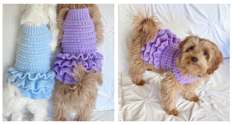 Lottie’s Spotty Doggy Dress Crochet Free Pattern