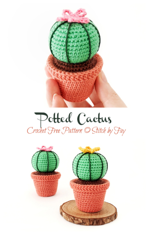 Potted Cactus Crochet Free Pattern