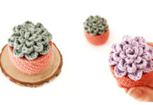 Little Succulent Crochet Free Pattern