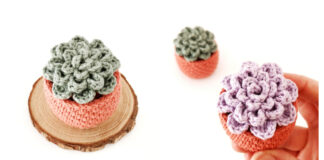 Little Succulent Crochet Free Pattern