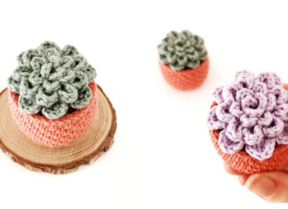 Little Succulent Crochet Free Pattern