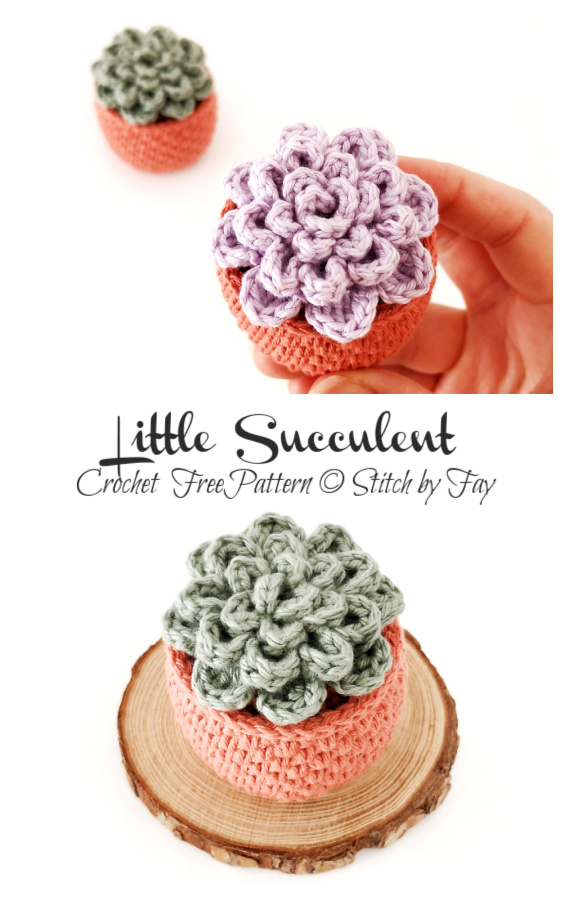 Little Succulent Crochet Free Pattern 