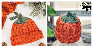 Pumpkin Beanie Crochet Free Pattern