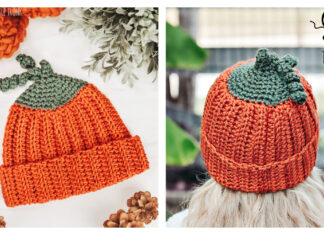 Pumpkin Beanie Crochet Free Pattern