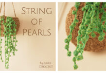 String of Pearls Plant Crochet Free Pattern