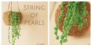 String of Pearls Plant Crochet Free Pattern