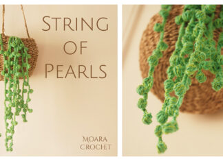 String of Pearls Plant Crochet Free Pattern